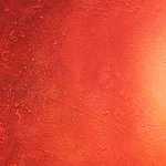  آب تمیز برای ماهی های آکواریوم